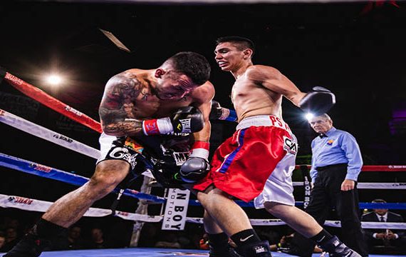 Watch UFC and Bellator MMA